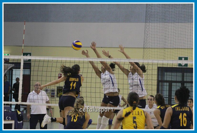 121020 Savio2 024_tn.jpg